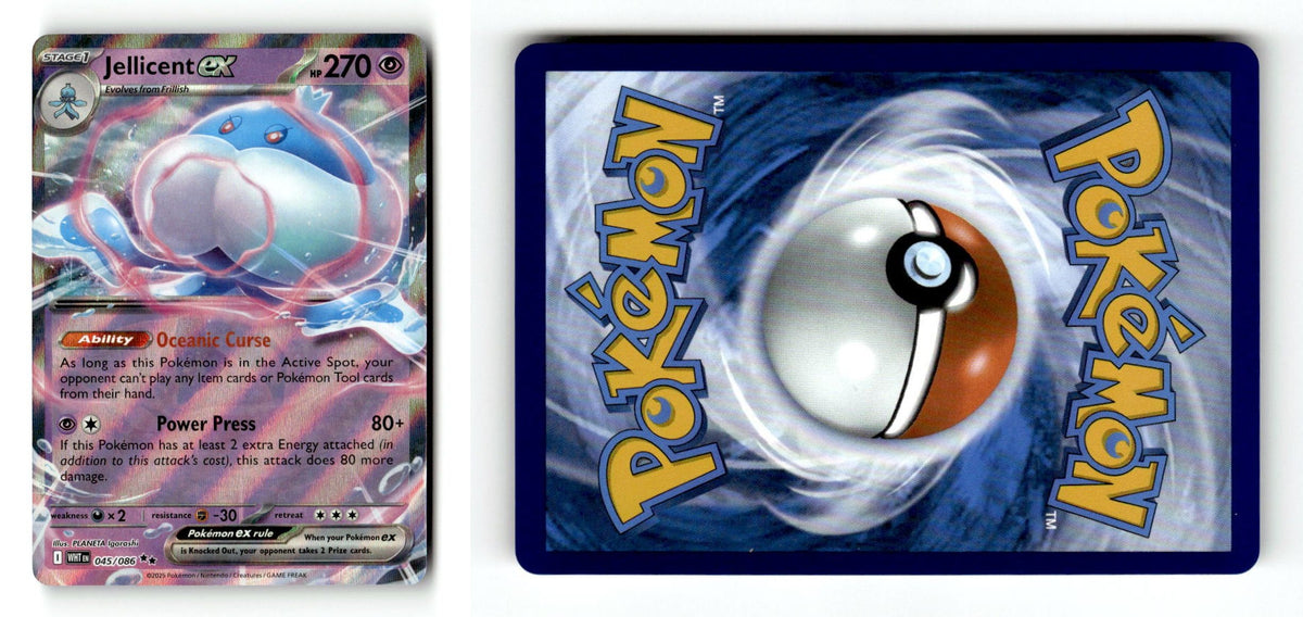 Front + Back scan