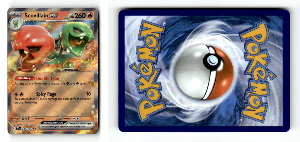 Front + Back scan