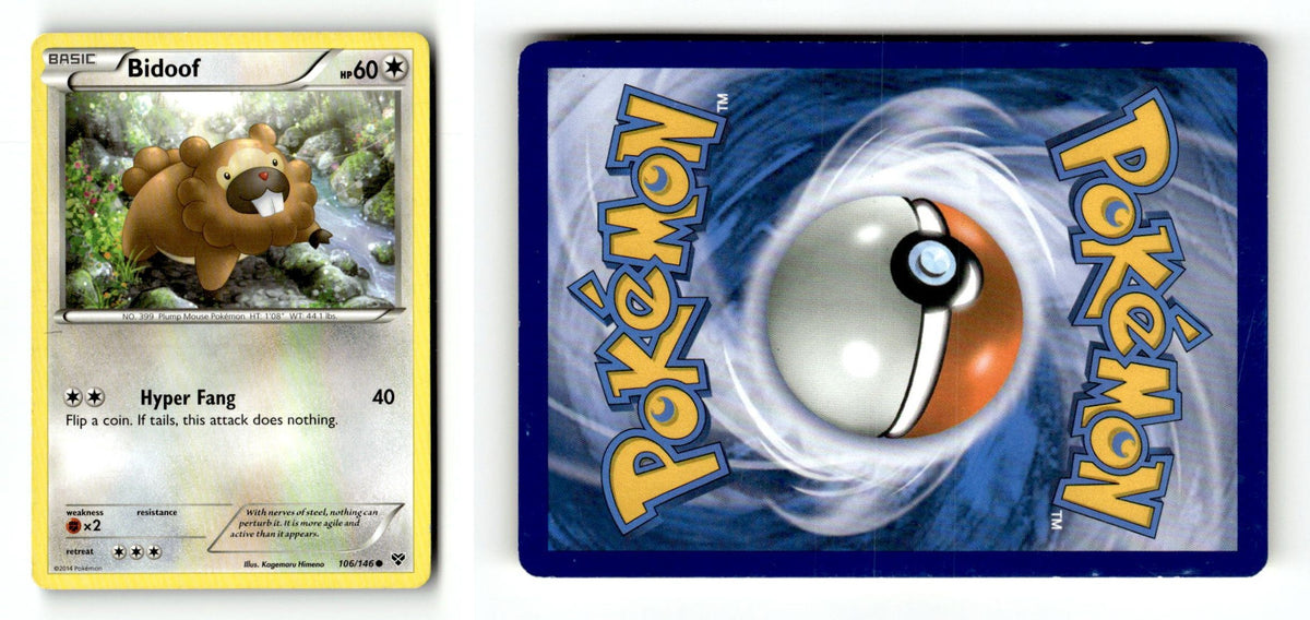 Front + Back scan