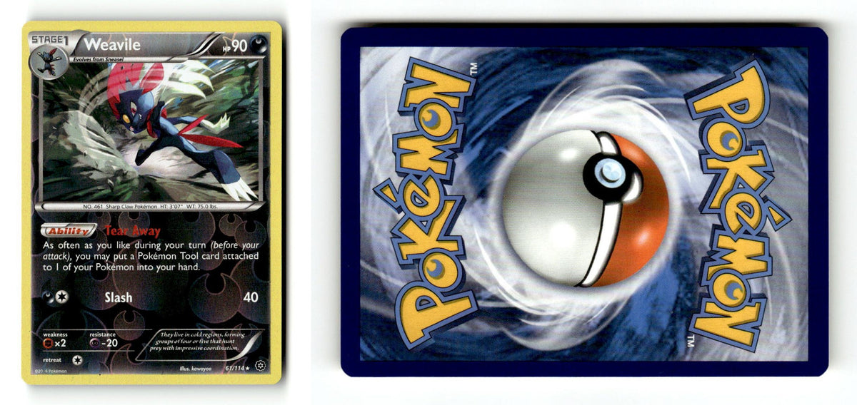 Front + Back scan