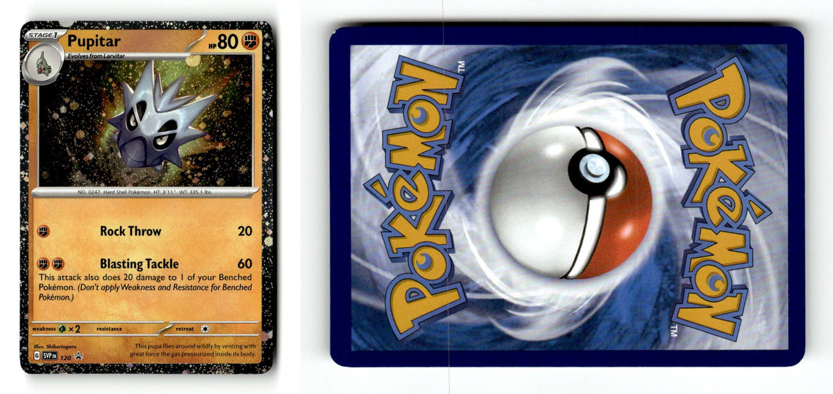 Front + Back scan