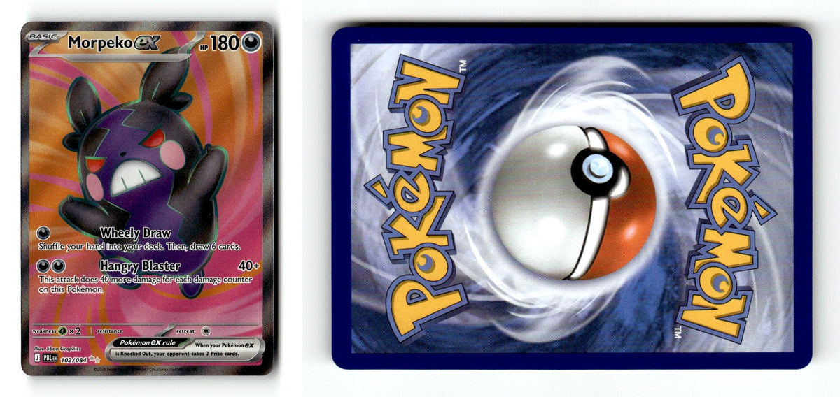 Front + Back scan