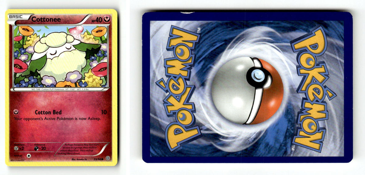 Front + Back scan