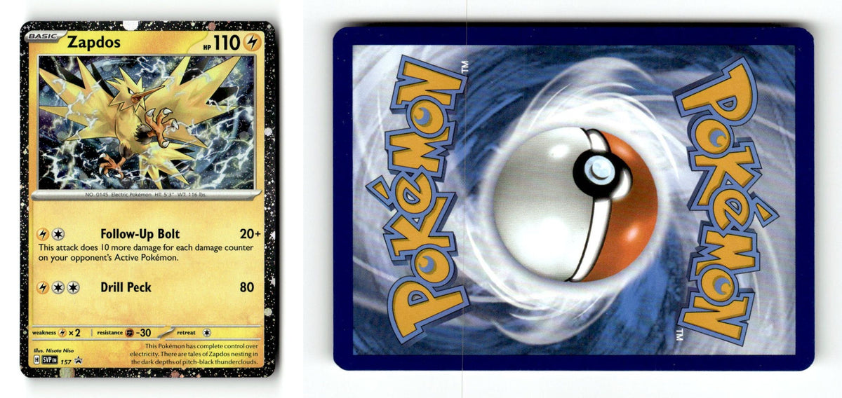 Front + Back scan