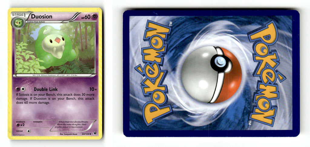 Front + Back scan