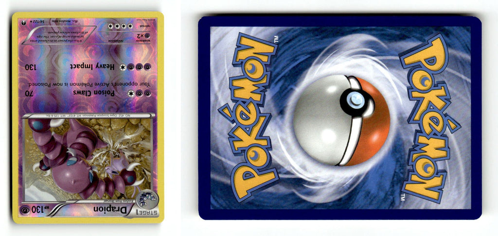 Front + Back scan