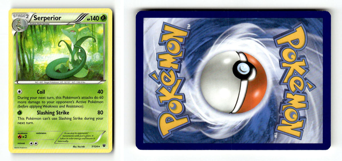 Front + Back scan
