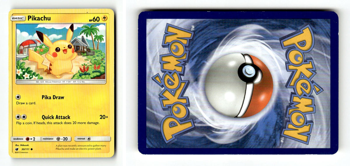 Front + Back scan