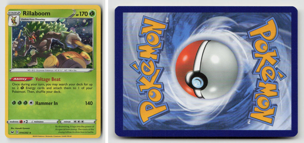 Front + Back scan