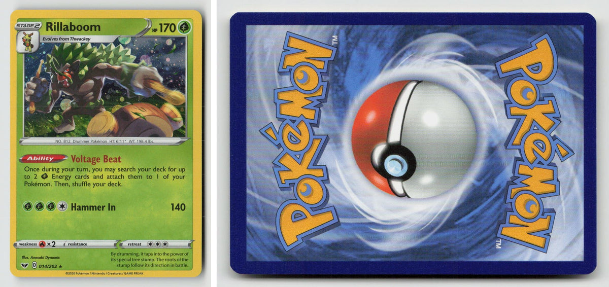 Front + Back scan