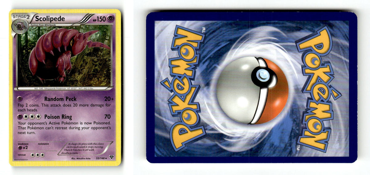 Front + Back scan