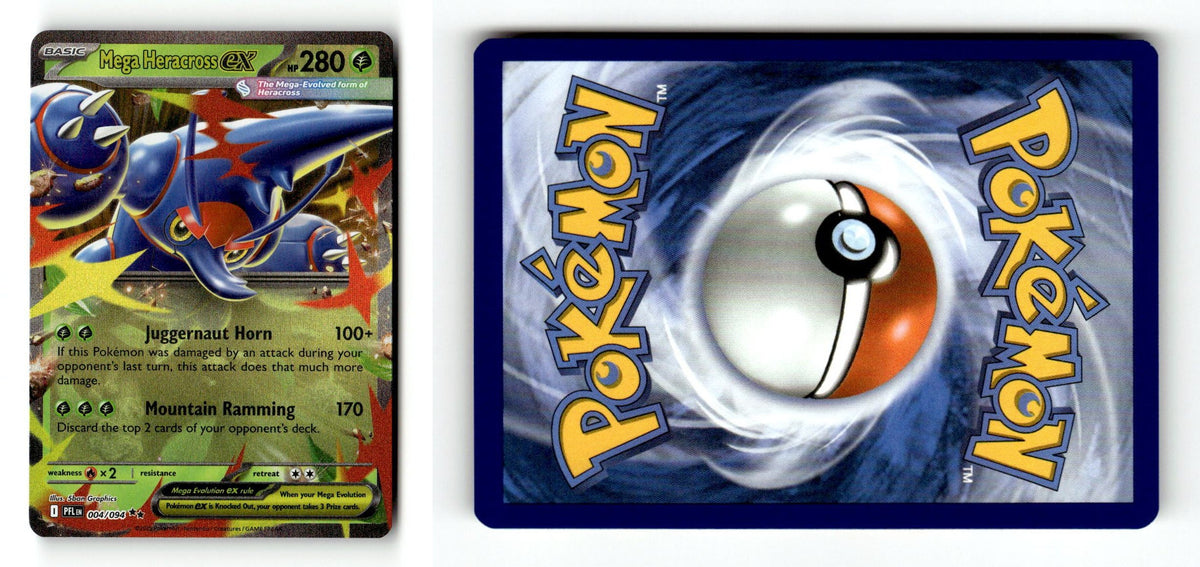 Front + Back scan