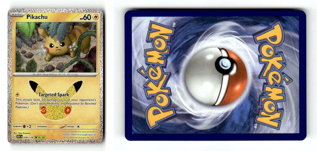 Front + Back scan