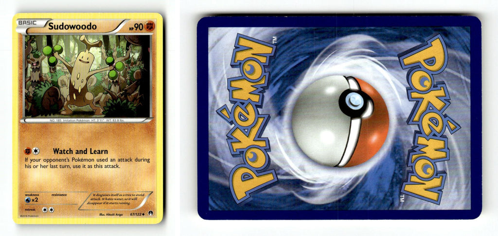 Front + Back scan