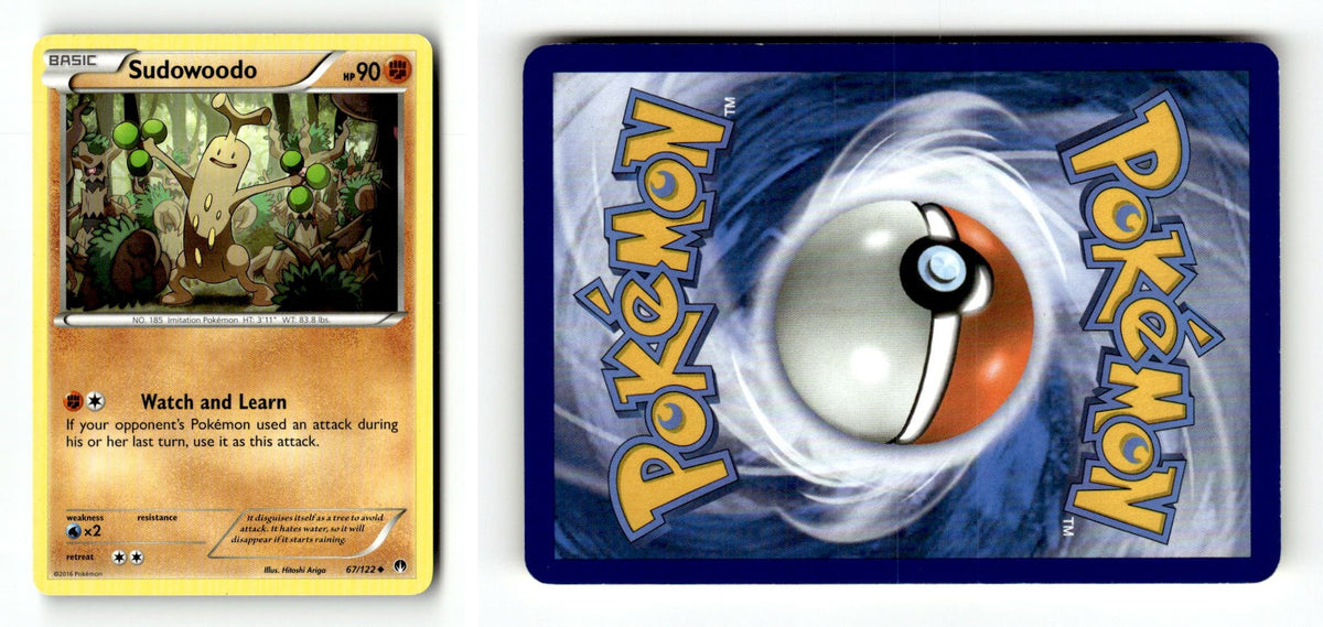 Front + Back scan