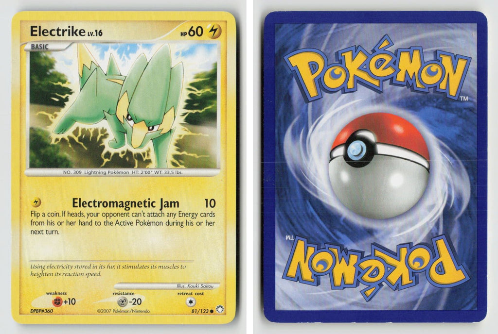 Front + Back scan