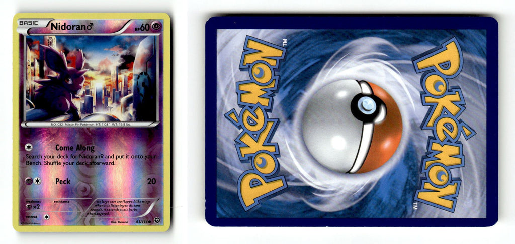 Front + Back scan