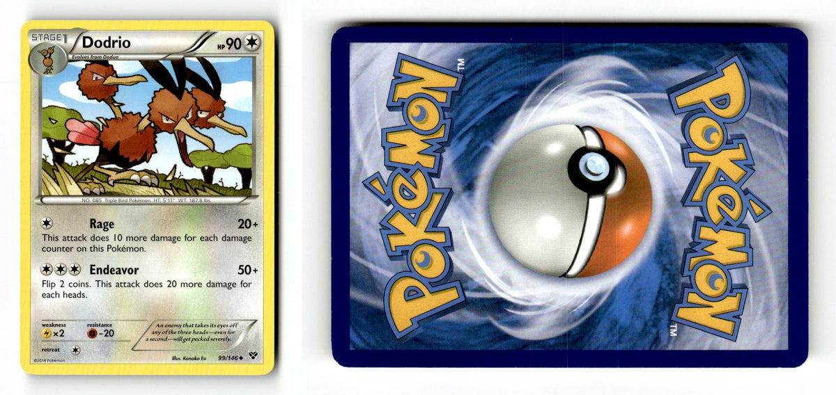 Front + Back scan