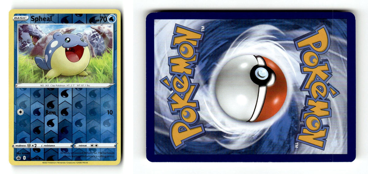Front + Back scan