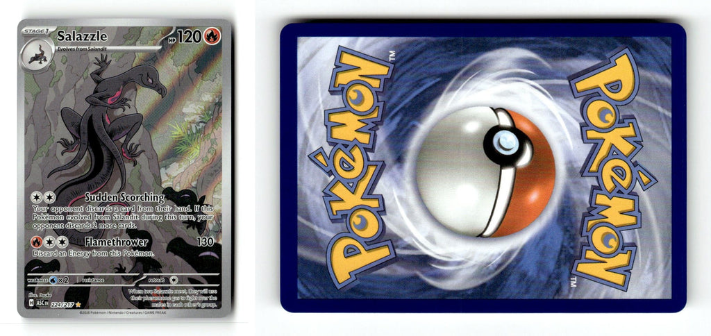 Front + Back scan
