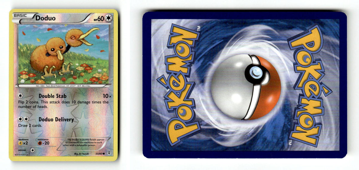 Front + Back scan