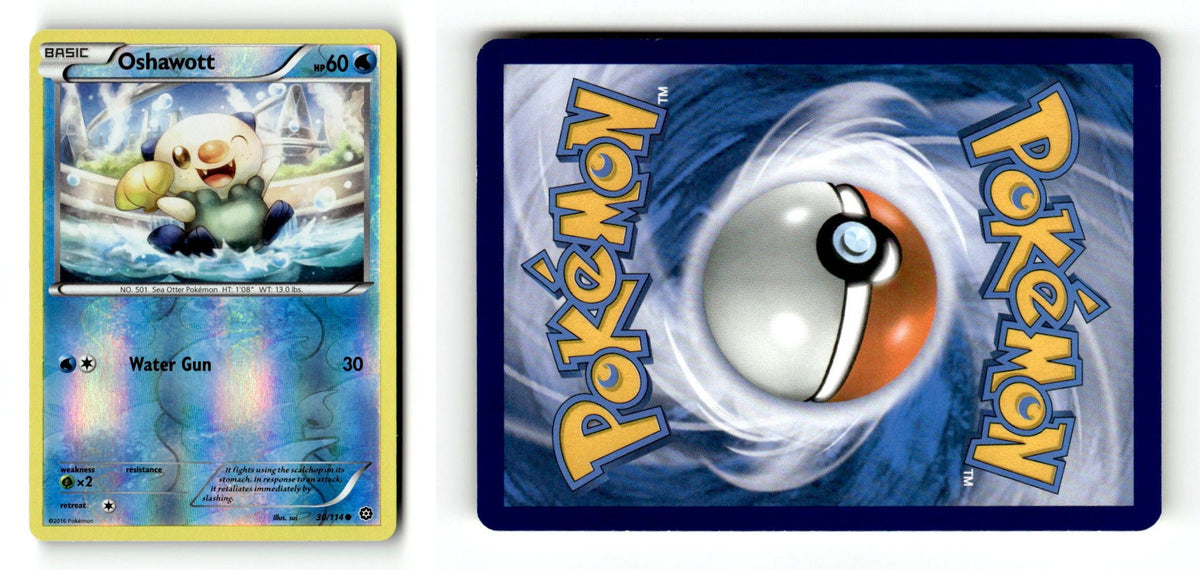 Front + Back scan
