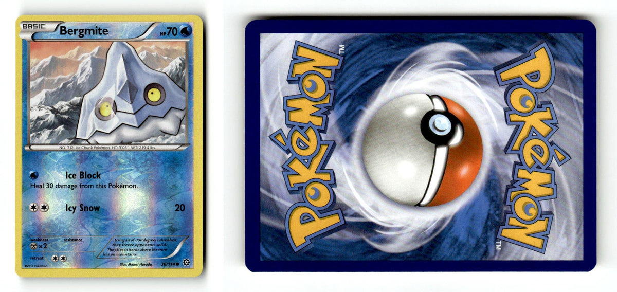 Front + Back scan