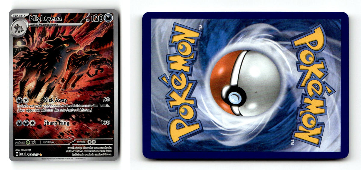 Front + Back scan