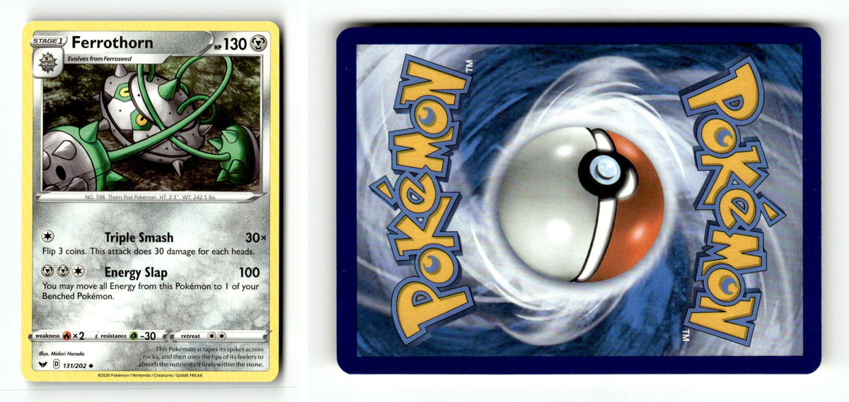 Front + Back scan