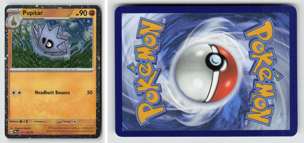 Front + Back scan