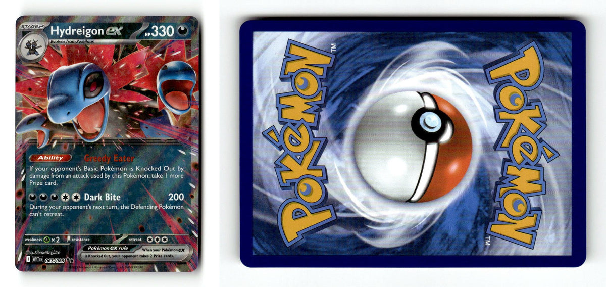 Front + Back scan