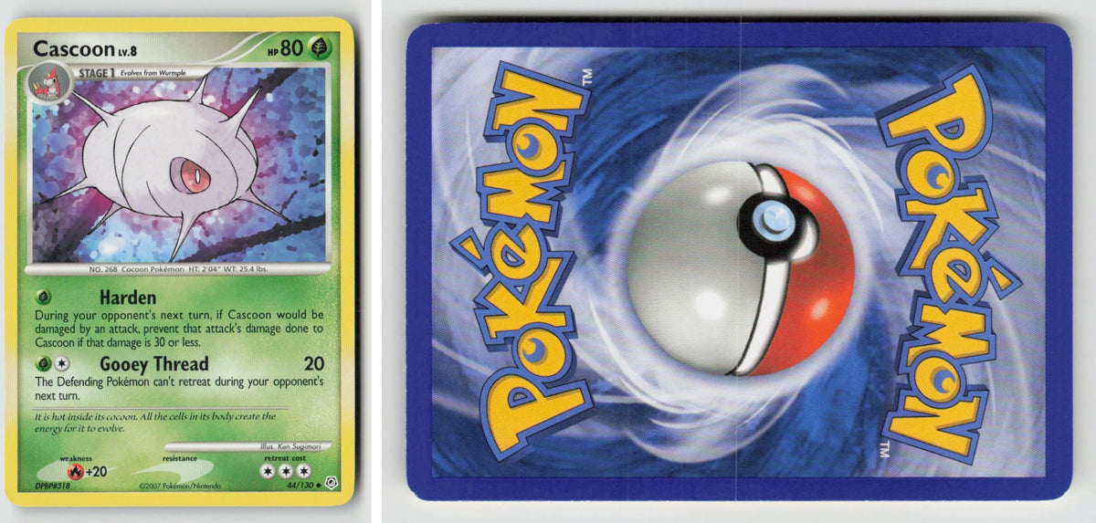 Front + Back scan