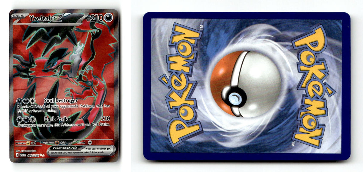 Front + Back scan