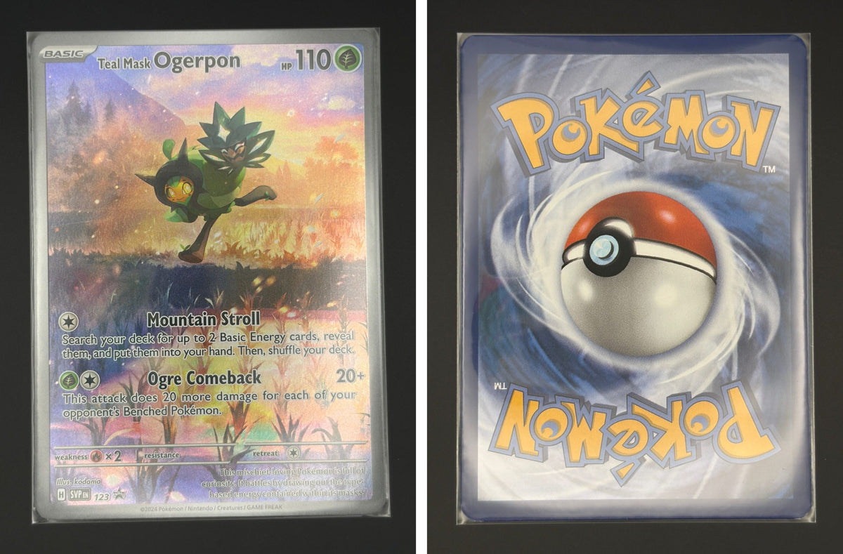 Front + Back scan