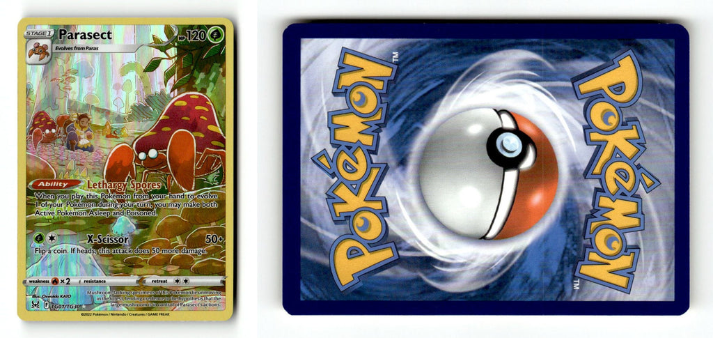 Front + Back scan