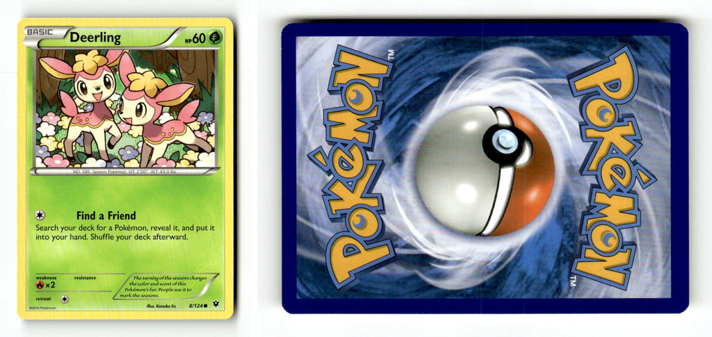 Front + Back scan