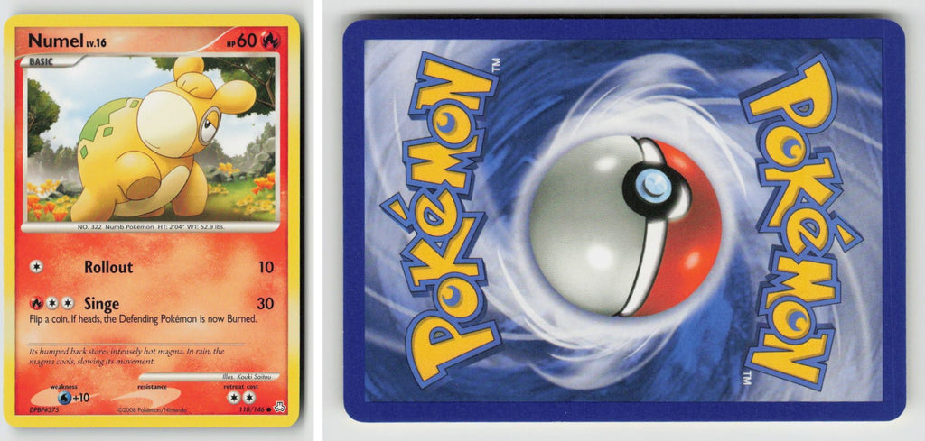 Front + Back scan