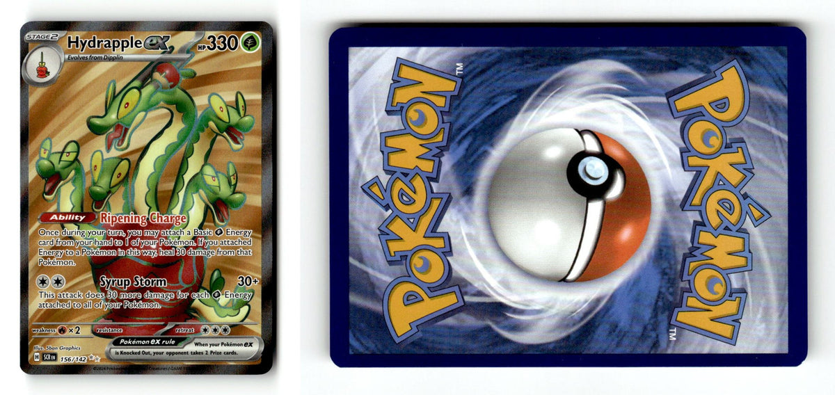 Front + Back scan