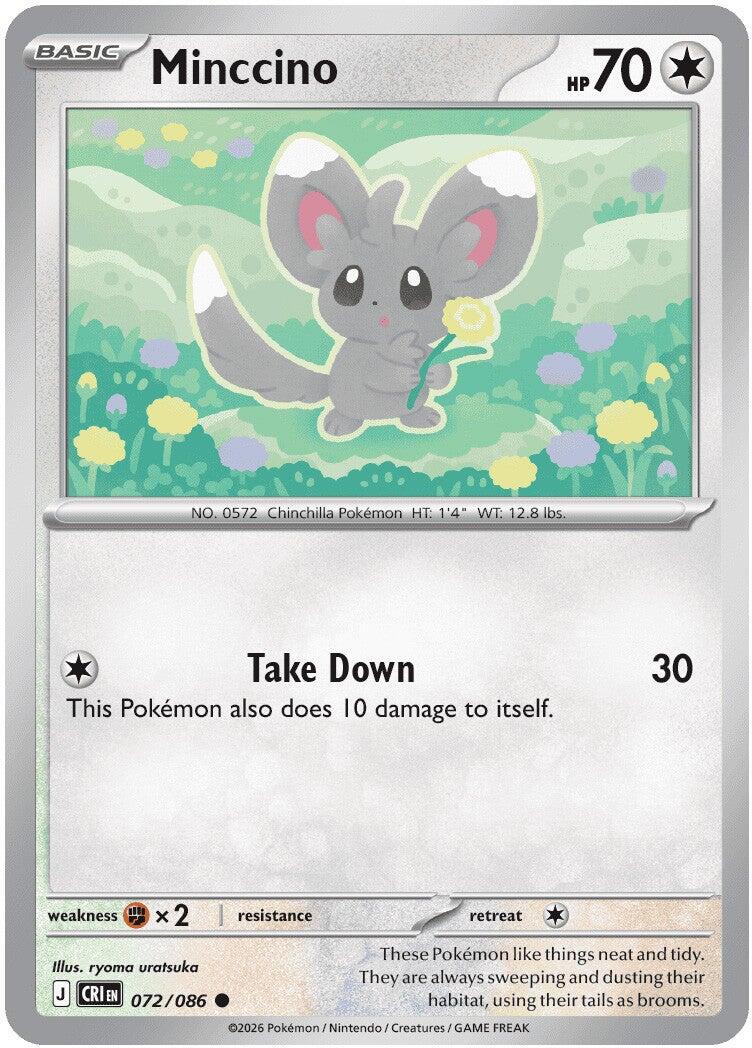 Minccino