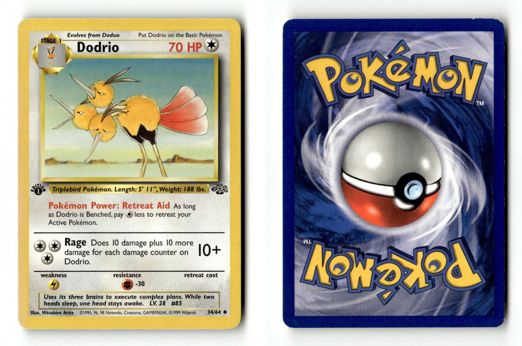 Front + Back scan