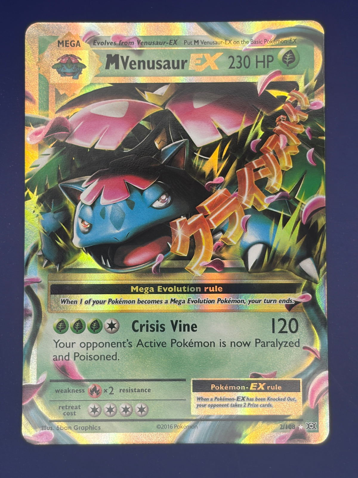 M Venusaur EX