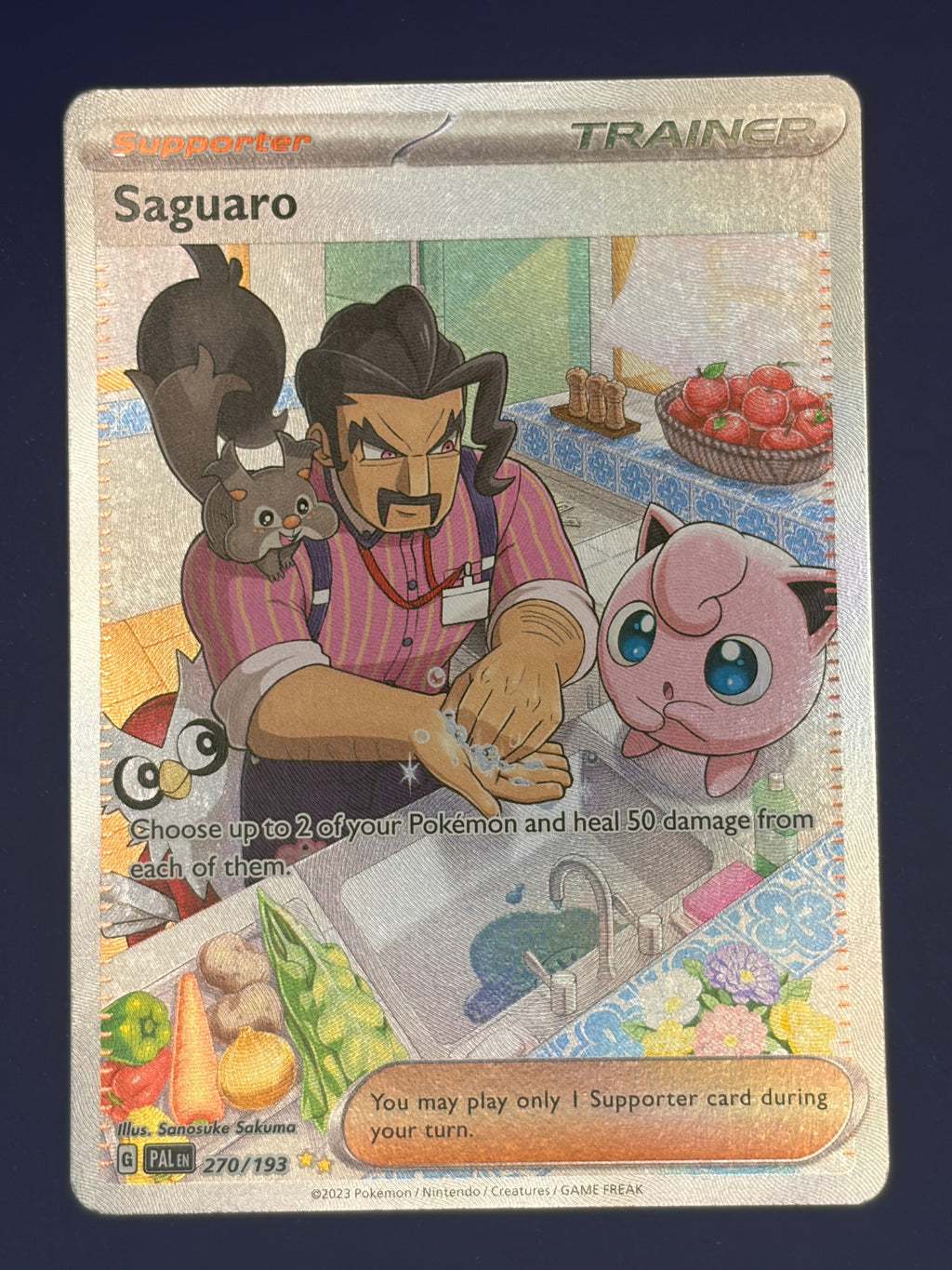 Saguaro - 270/193