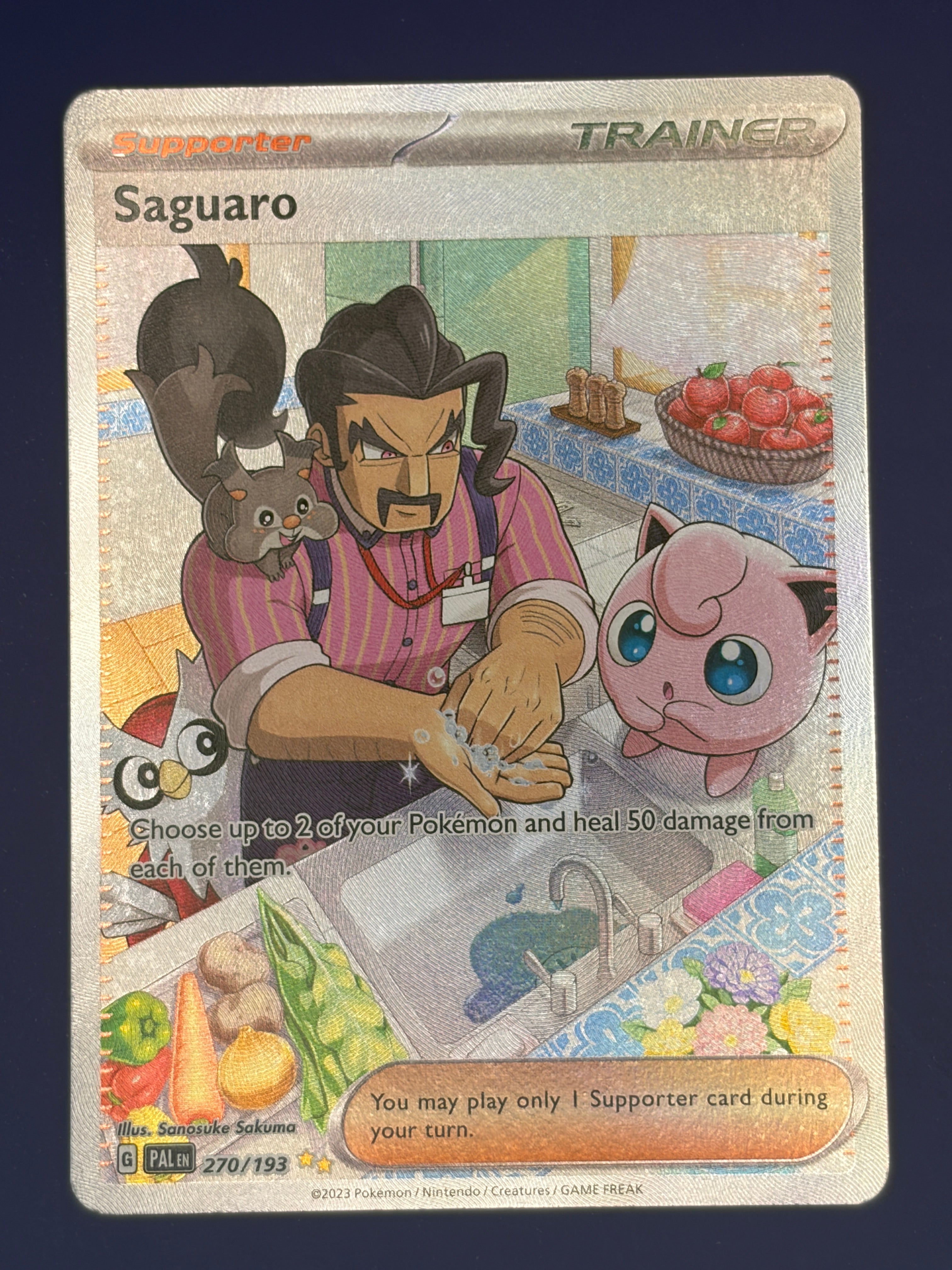 Saguaro - 270/193
