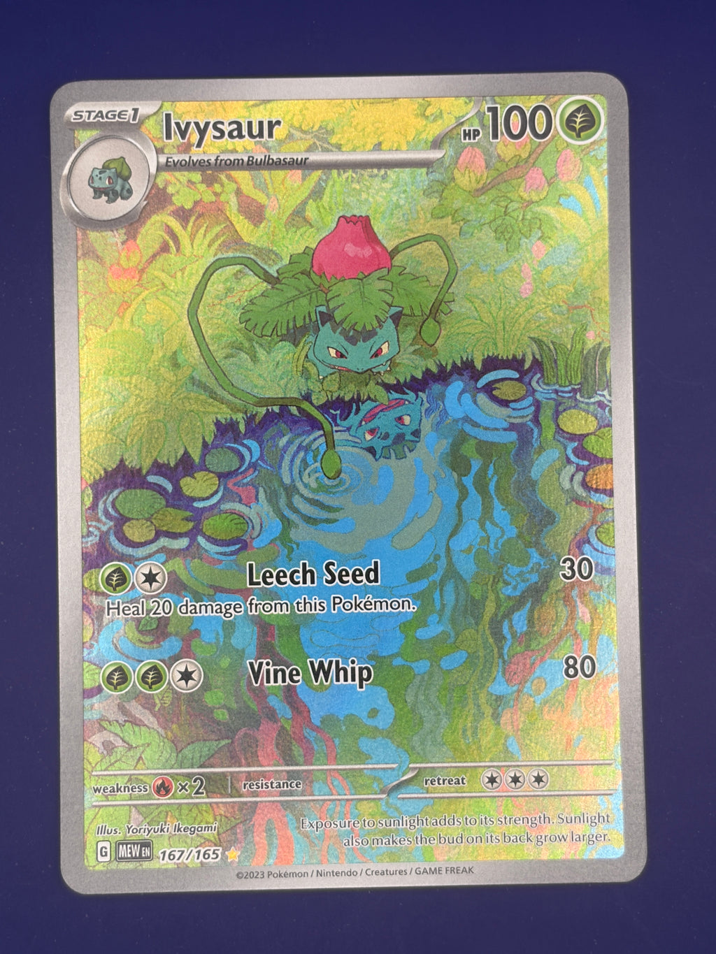 Ivysaur - 167/165