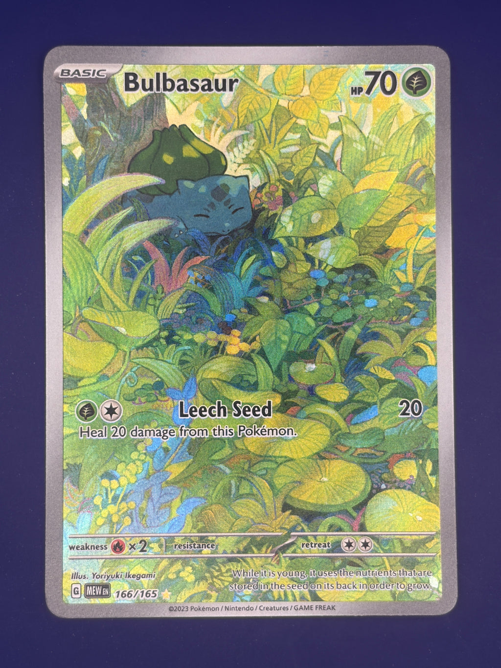Bulbasaur - 166/165