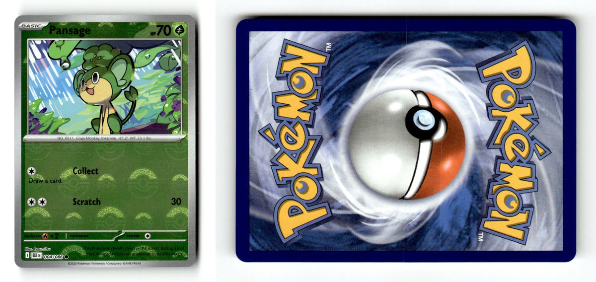 Front + Back scan