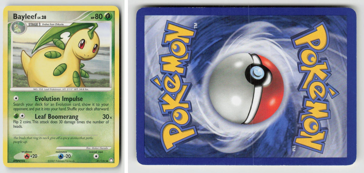 Front + Back scan