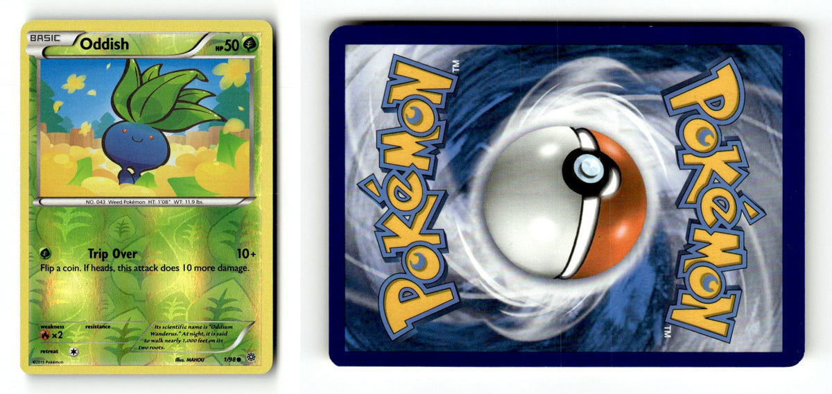 Front + Back scan