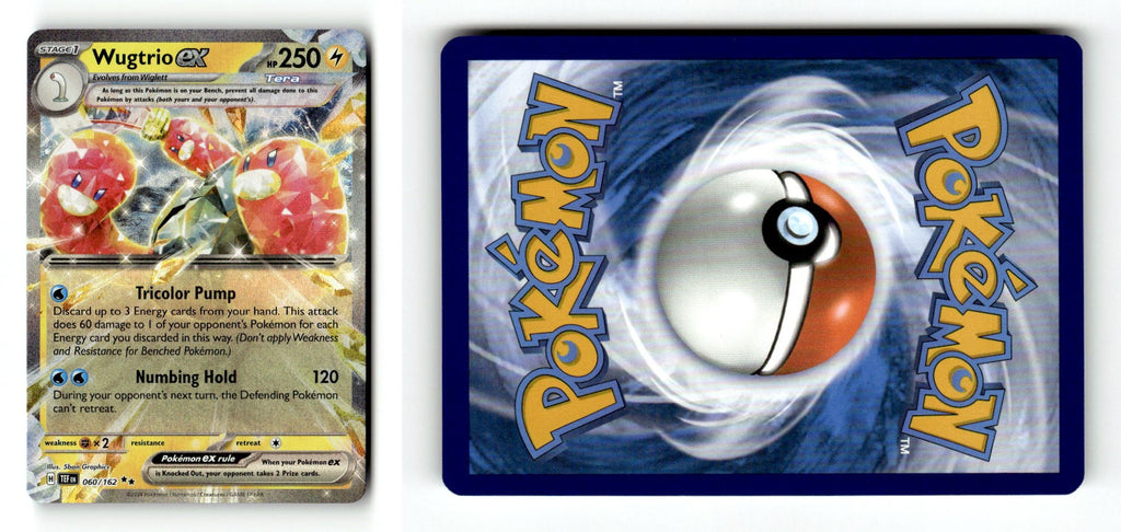 Front + Back scan
