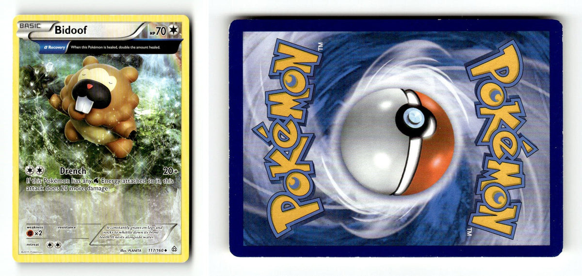 Front + Back scan
